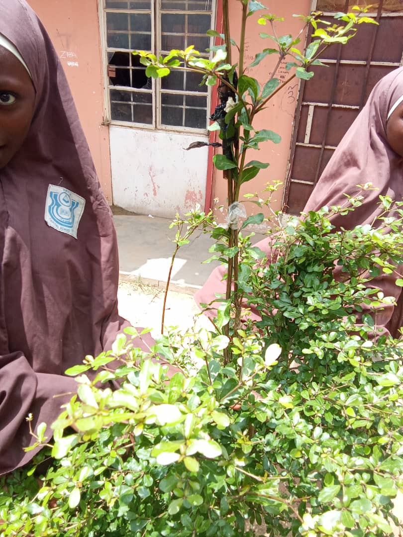 Green Environmental Solutions