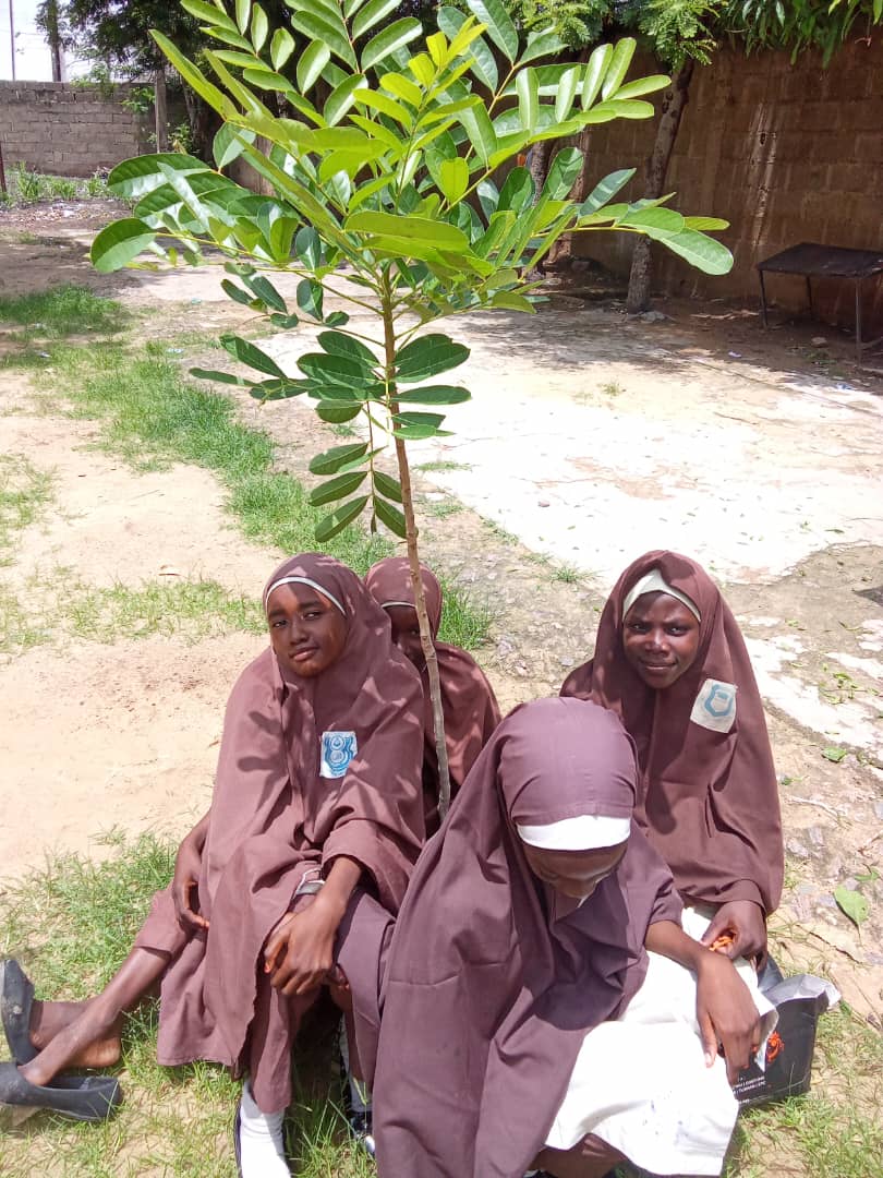 Green Environmental Solutions