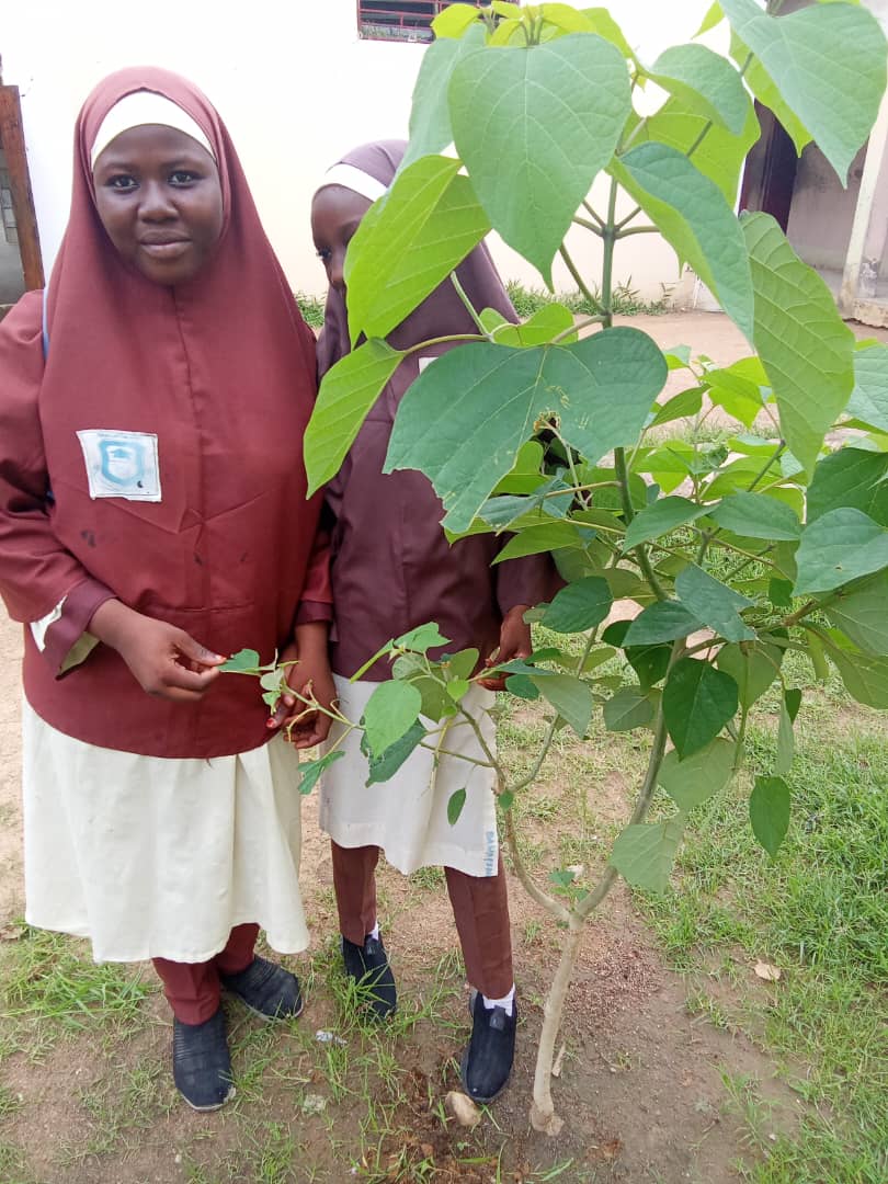 Green Environmental Solutions