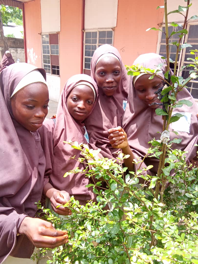 Green Environmental Solutions