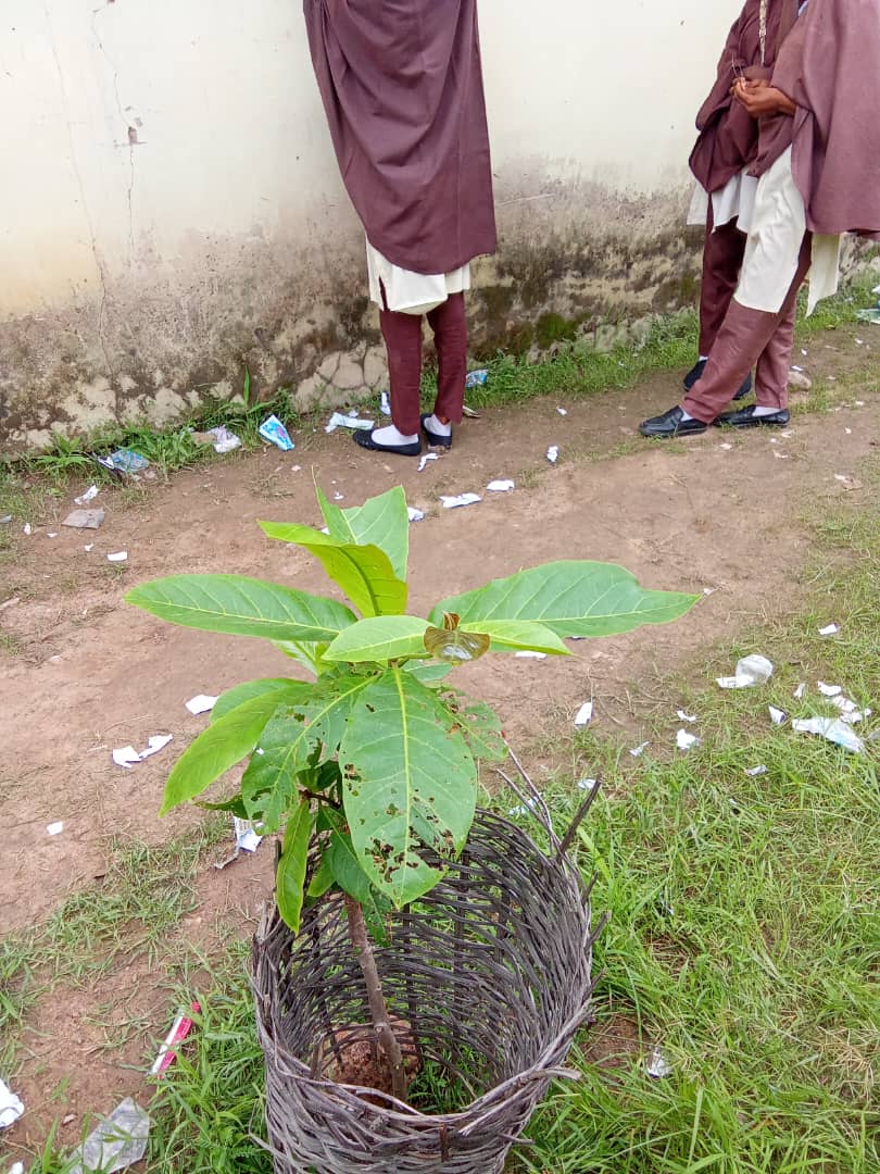 Green Environmental Solutions