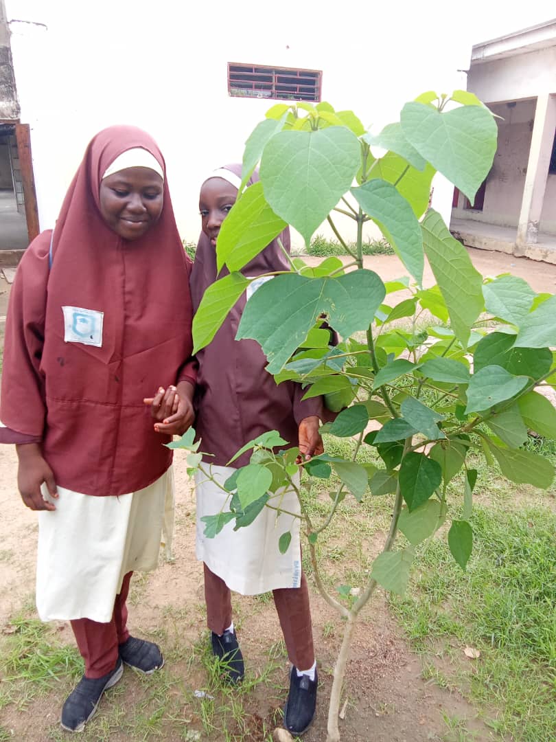 Green Environmental Solutions