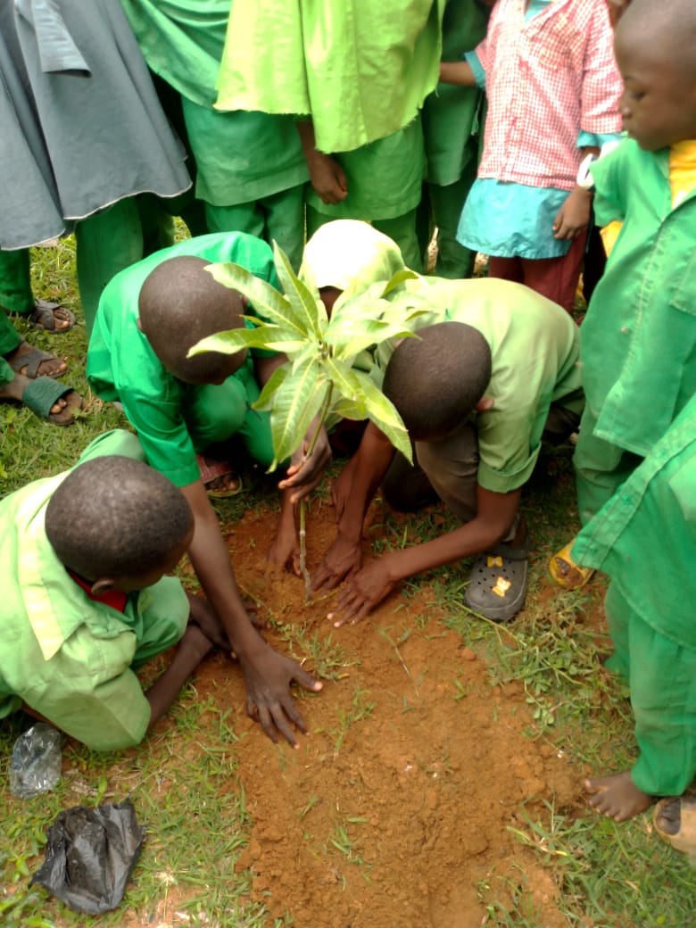 Green Environmental Solutions