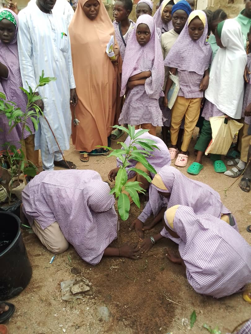 Green Environmental Solutions