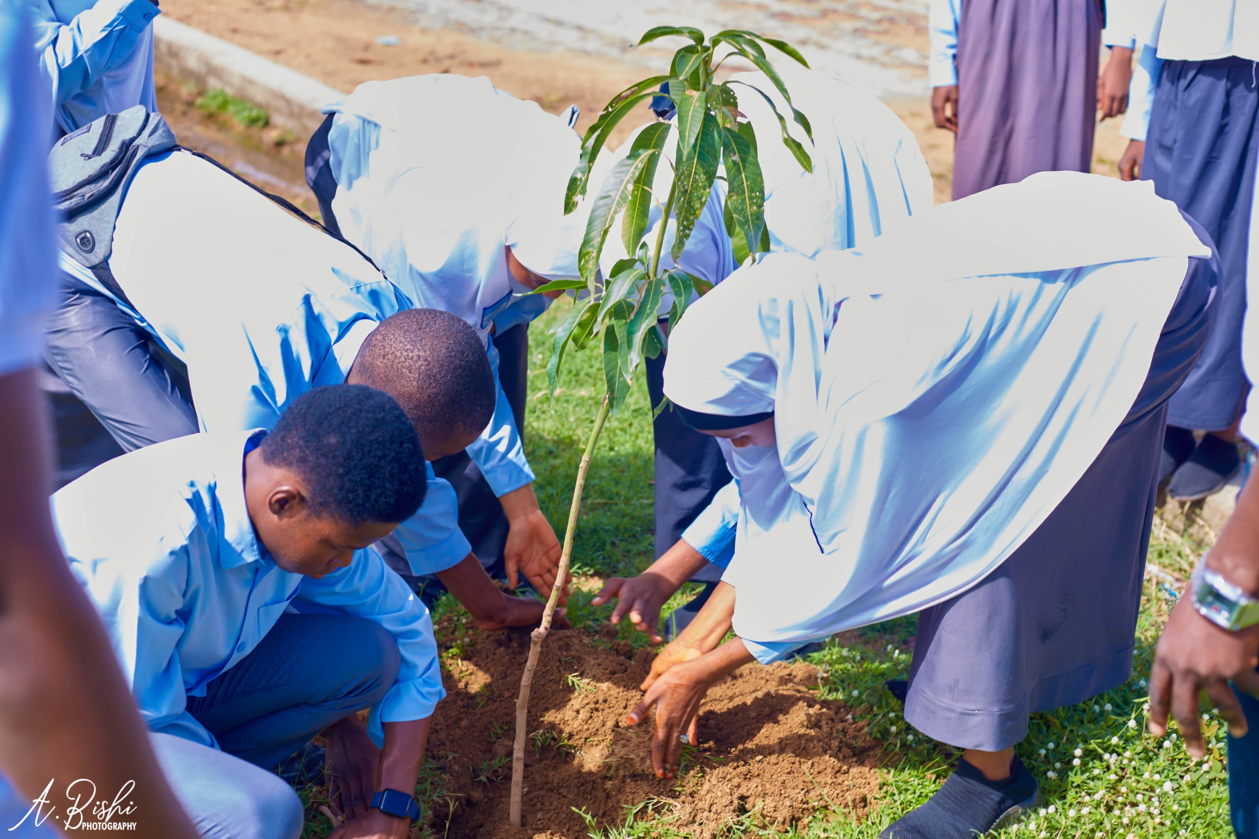 Green Environmental Solutions