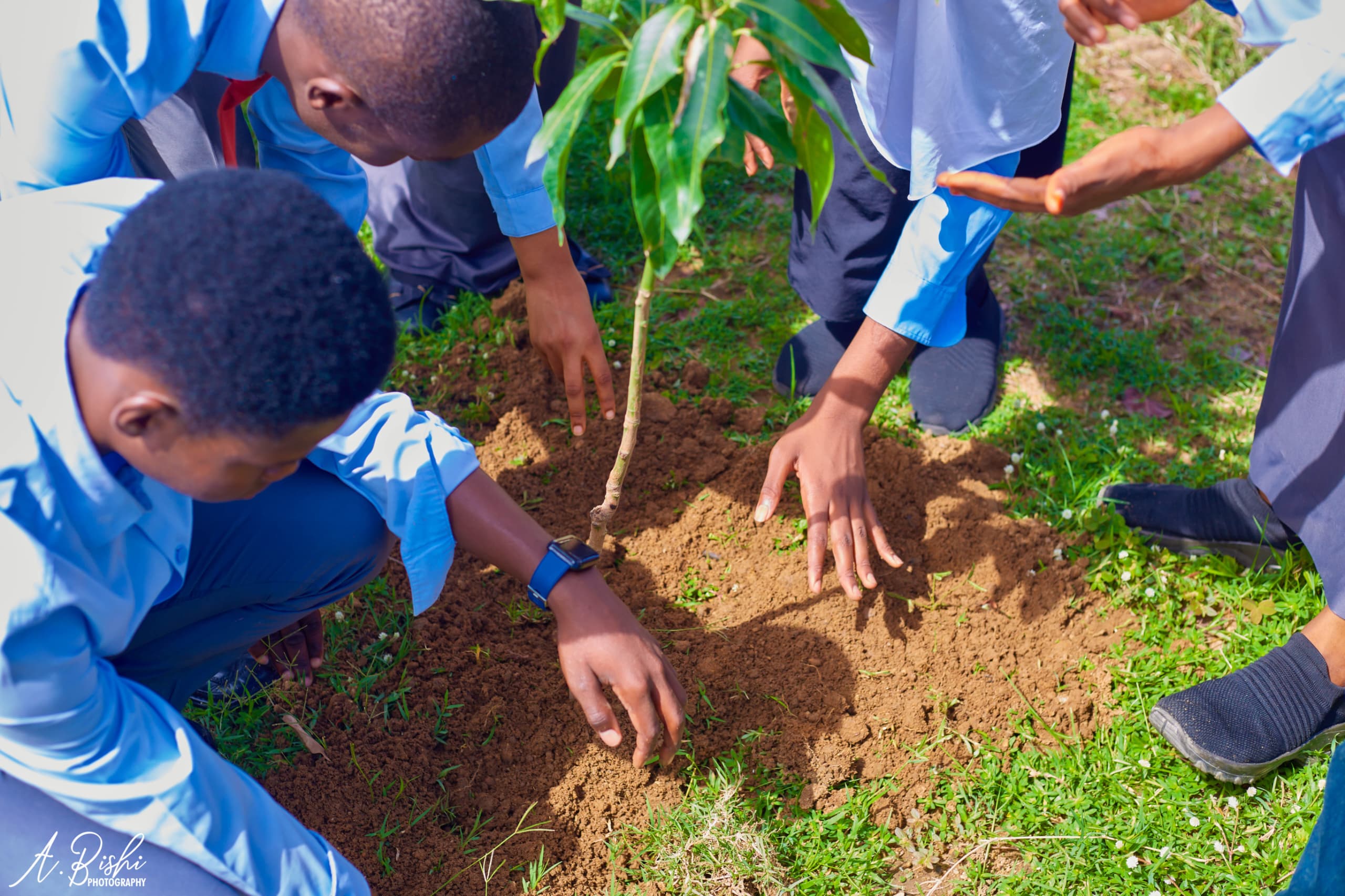 Green Environmental Solutions