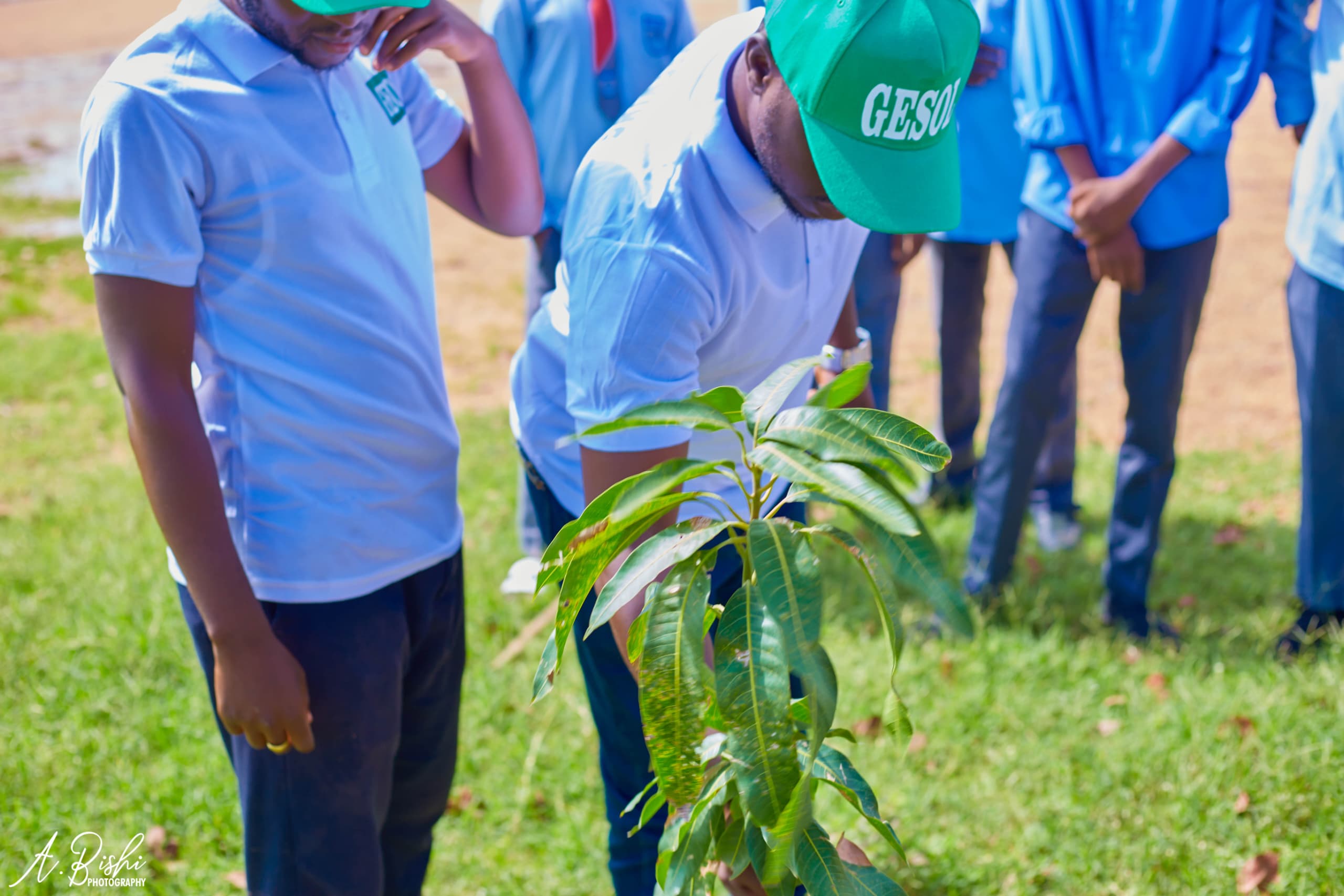 Green Environmental Solutions