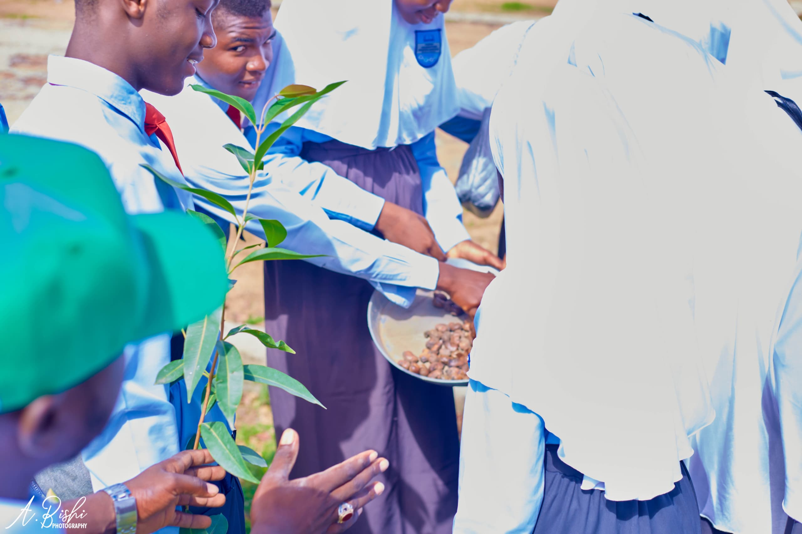 Green Environmental Solutions