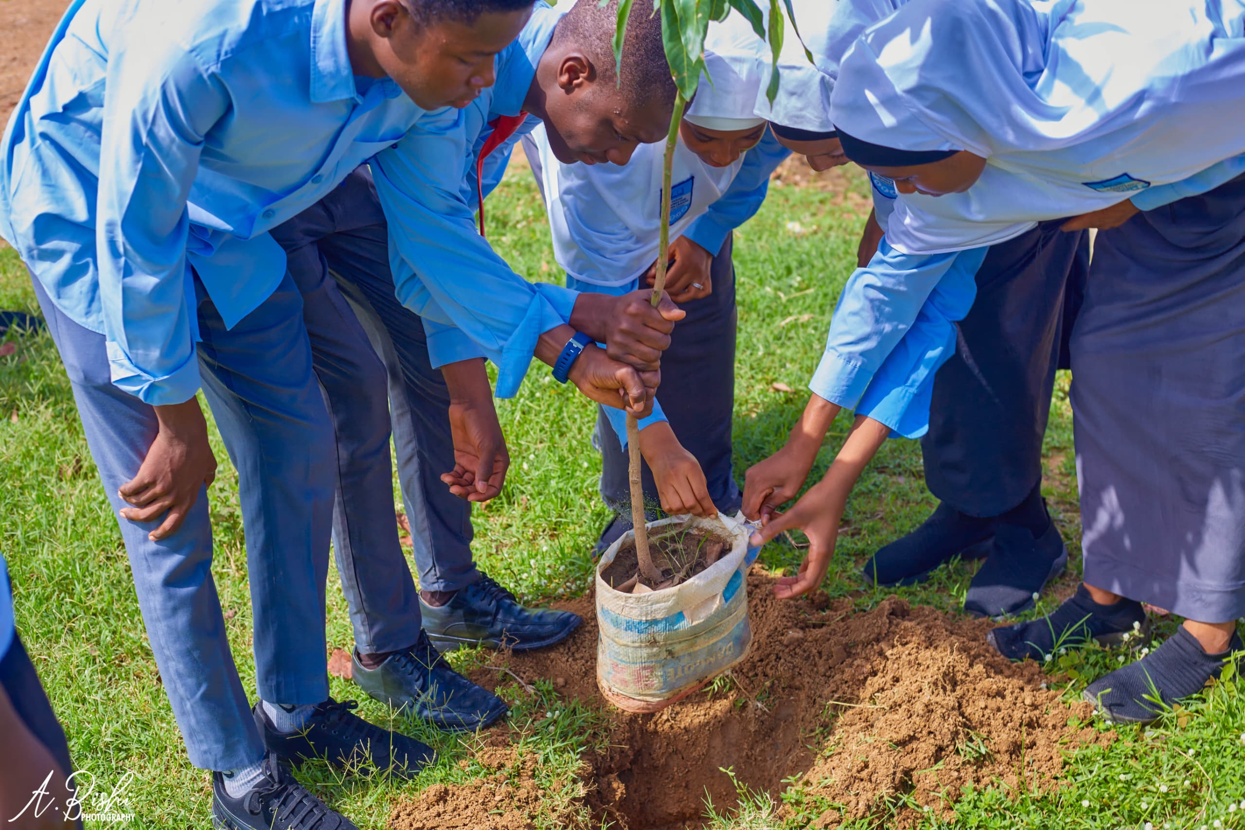 Green Environmental Solutions