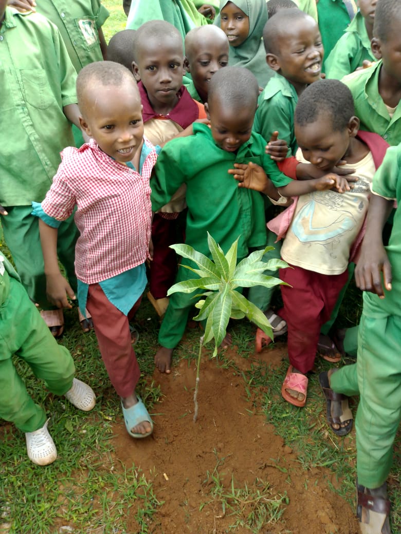 Green Environmental Solutions