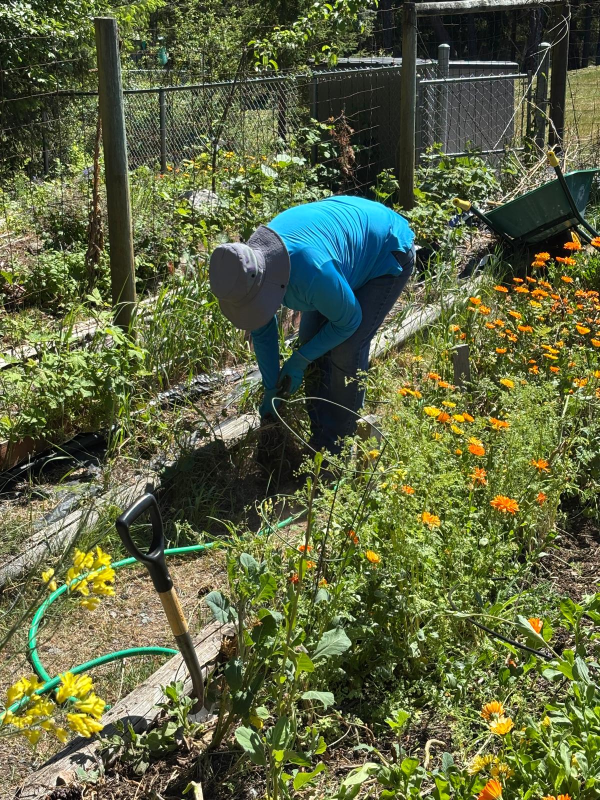 NANOOSE BAY ELEMENTARY